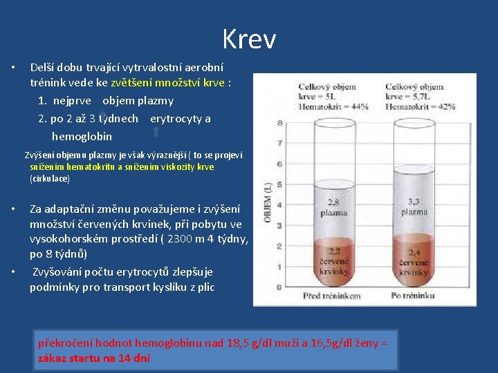 Krev Delší dobu trvající vytrvalostní aerobní trénink vede ke zvětšení množství krve : 1.