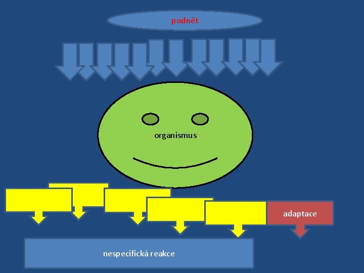 podnět organismus adaptace nespecifická reakce 