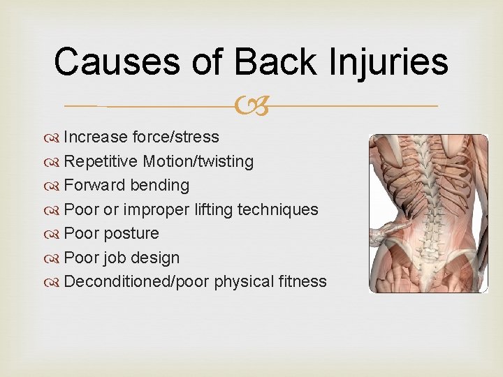 Causes of Back Injuries Increase force/stress Repetitive Motion/twisting Forward bending Poor or improper lifting