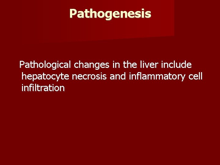 Pathogenesis Pathological changes in the liver include hepatocyte necrosis and inflammatory cell infiltration 