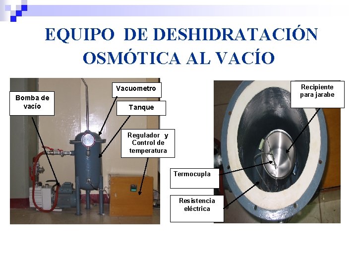 EQUIPO DE DESHIDRATACIÓN OSMÓTICA AL VACÍO Recipiente para jarabe Vacuometro Bomba de vacío Tanque