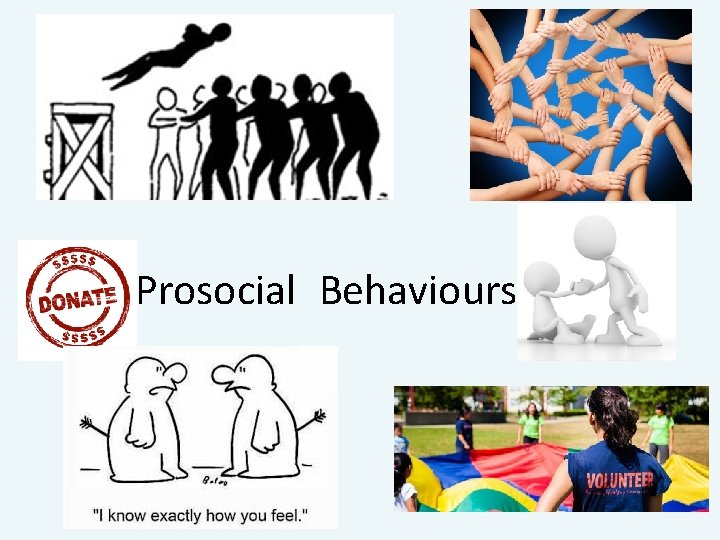 Prosocial Behaviours 
