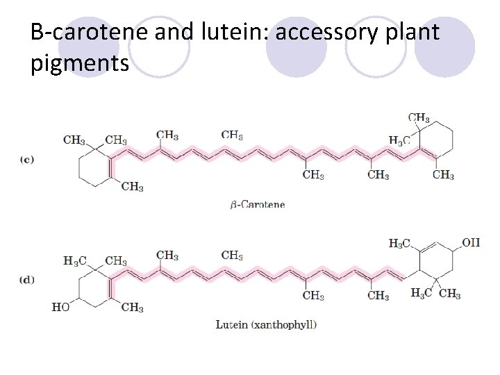 Β-carotene and lutein: accessory plant pigments 
