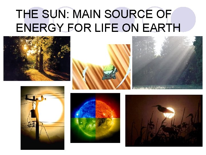 THE SUN: MAIN SOURCE OF ENERGY FOR LIFE ON EARTH 
