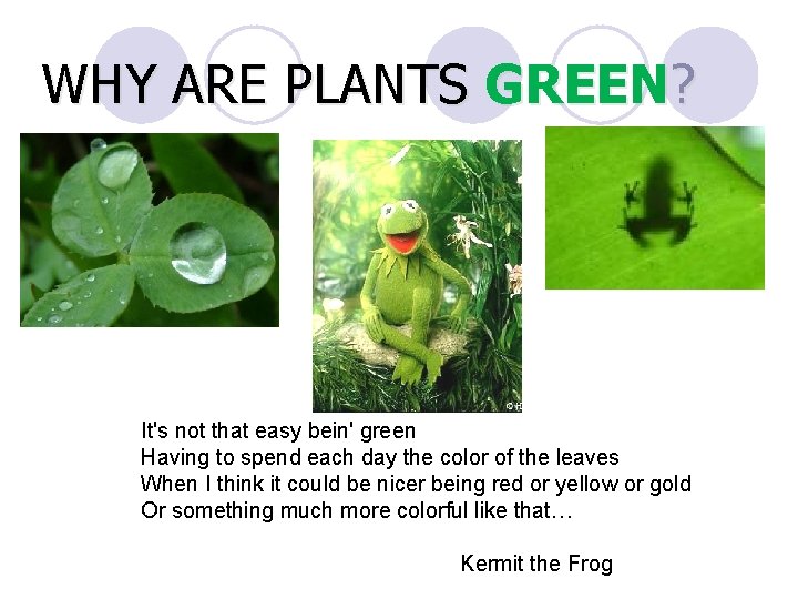 WHY ARE PLANTS GREEN? It's not that easy bein' green Having to spend each