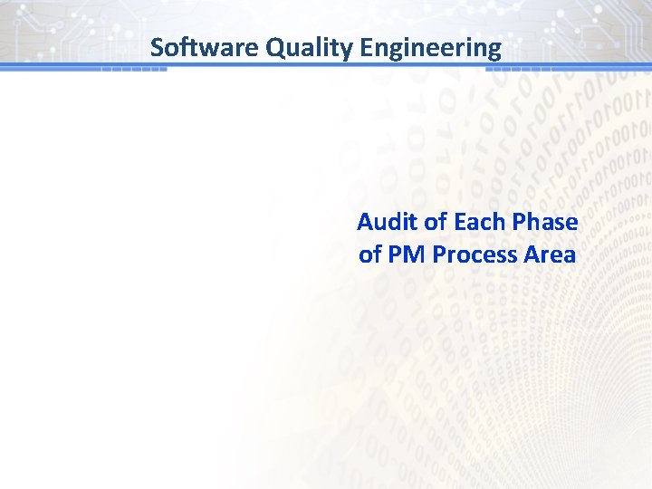 Software Quality Engineering Audit of Each Phase of PM Process Area 