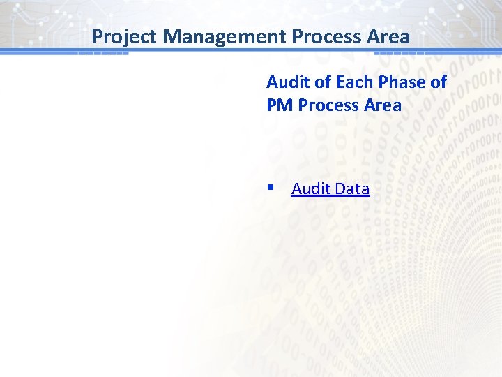 BG # 1 Process Area Project Management Audit of Each Phase of PM Process