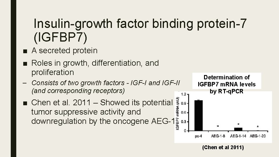 Insulin-growth factor binding protein-7 (IGFBP 7) ■ A secreted protein ■ Roles in growth,