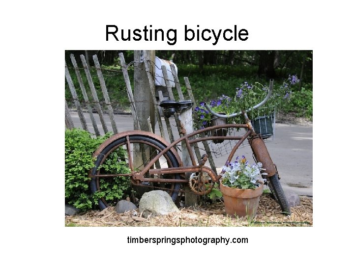 Rusting bicycle timberspringsphotography. com 