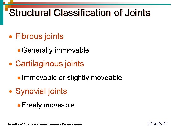 structural classification of joints includes fibrous cartilaginous and