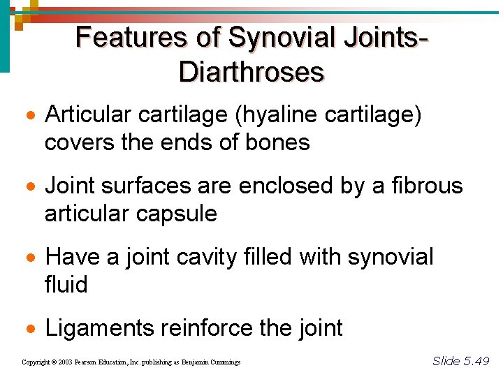 Features of Synovial Joints. Diarthroses · Articular cartilage (hyaline cartilage) covers the ends of