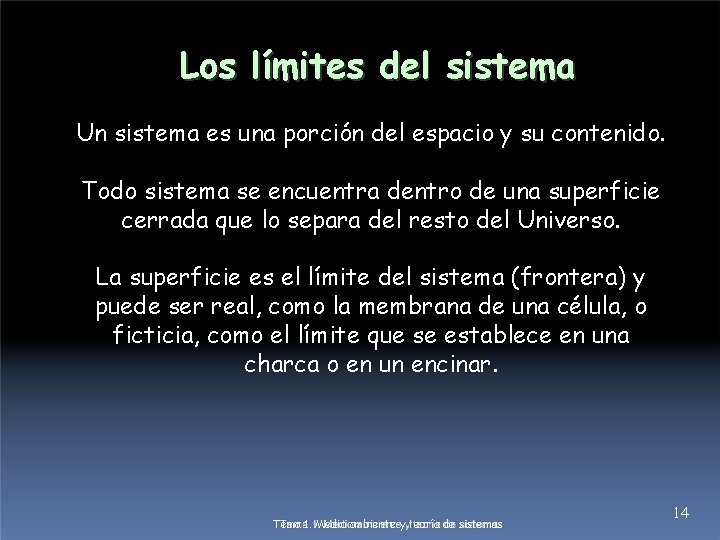 Los límites del sistema Un sistema es una porción del espacio y su contenido.