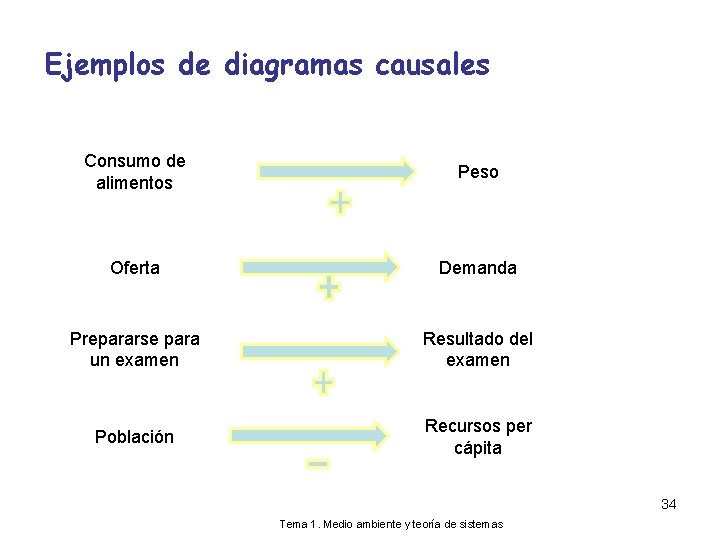 Ejemplos de diagramas causales Consumo de alimentos Peso Oferta Demanda Prepararse para un examen