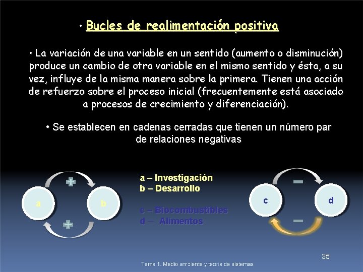  • Bucles de realimentación positiva • La variación de una variable en un