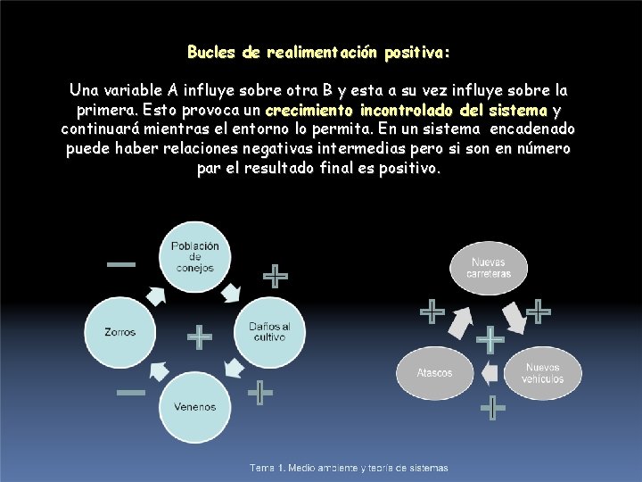 Bucles de realimentación positiva: Una variable A influye sobre otra B y esta a