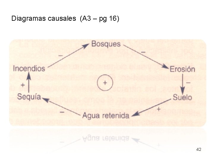 Diagramas causales (A 3 – pg 16) 42 