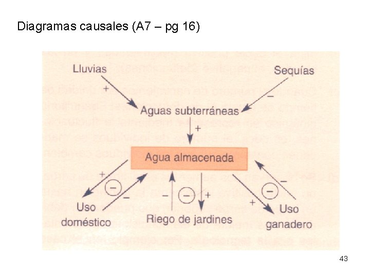 Diagramas causales (A 7 – pg 16) 43 