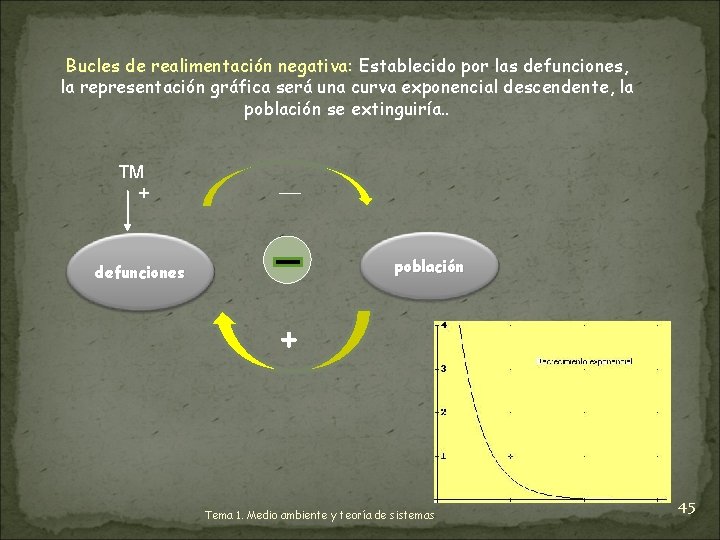 Bucles de realimentación negativa: Establecido por las defunciones, la representación gráfica será una curva