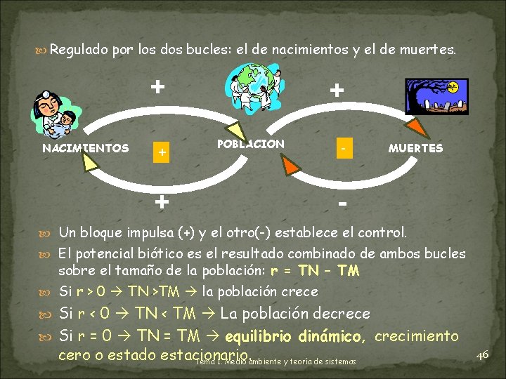  Regulado por los dos bucles: el de nacimientos y el de muertes. +