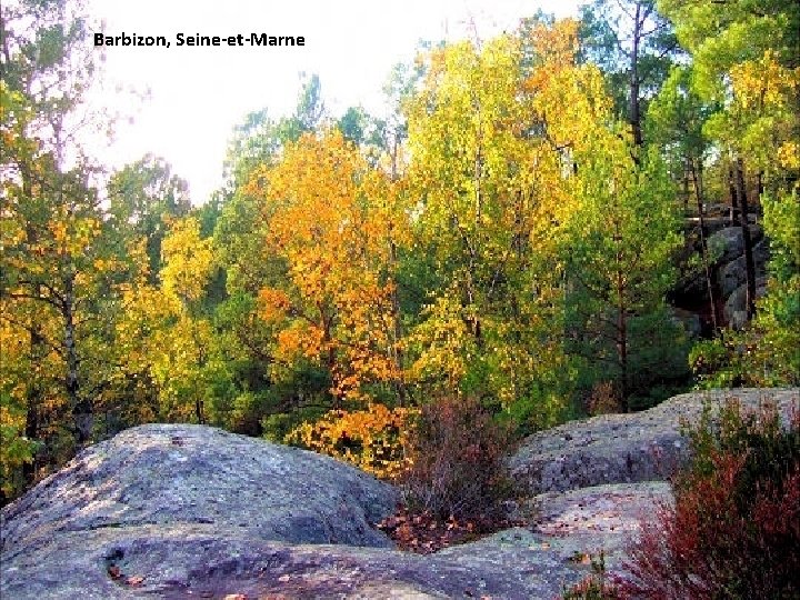 Barbizon, Seine-et-Marne 