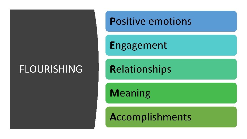 Positive emotions Engagement FLOURISHING Relationships Meaning Accomplishments 