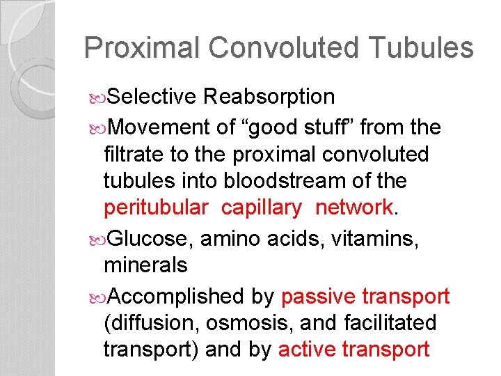 Proximal Convoluted Tubules Selective Reabsorption Movement of “good stuff” from the filtrate to the