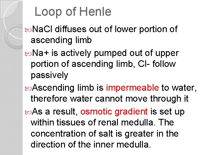 Loop of Henle Na. Cl diffuses out of lower portion of ascending limb Na+