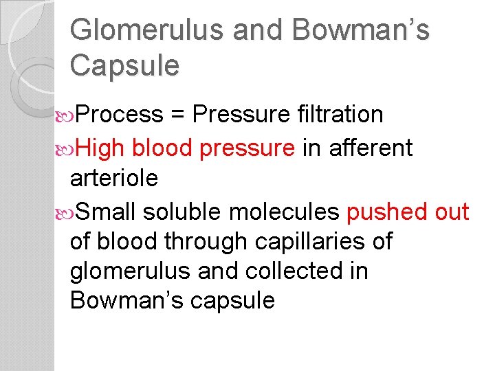 Glomerulus and Bowman’s Capsule Process = Pressure filtration High blood pressure in afferent arteriole