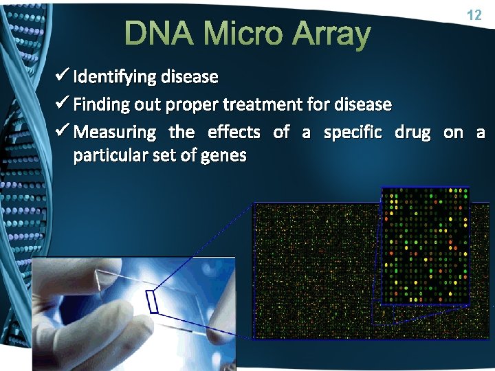 DNA Micro Array 12 ü Identifying disease ü Finding out proper treatment for disease