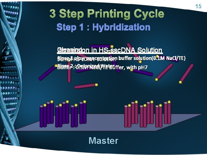 3 Step Printing Cycle Step 1 : Hybridization Cleaning in HS-ssc. DNA Solution Immersion