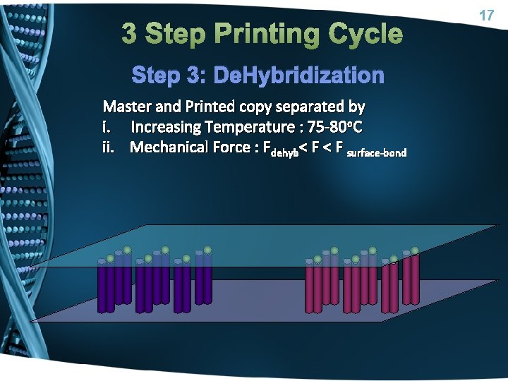 3 Step Printing Cycle Step 3: De. Hybridization Master and Printed copy separated by
