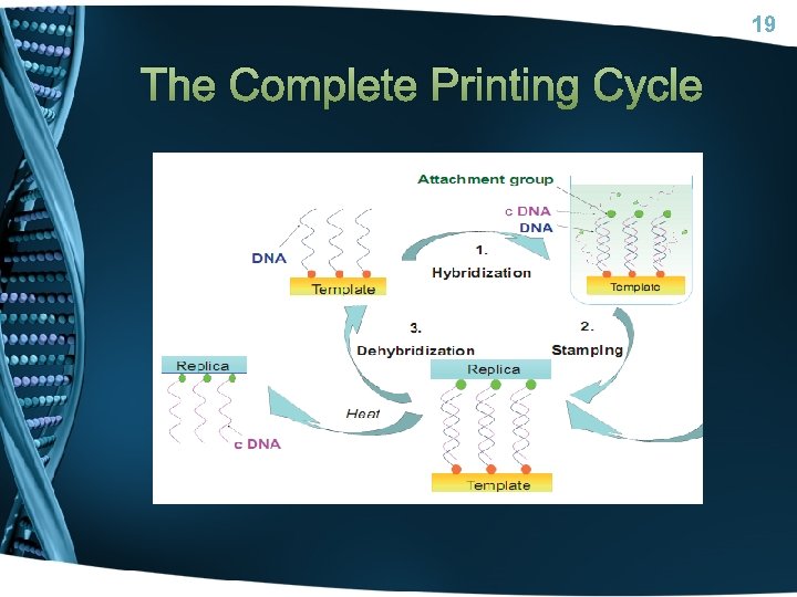 19 The Complete Printing Cycle 