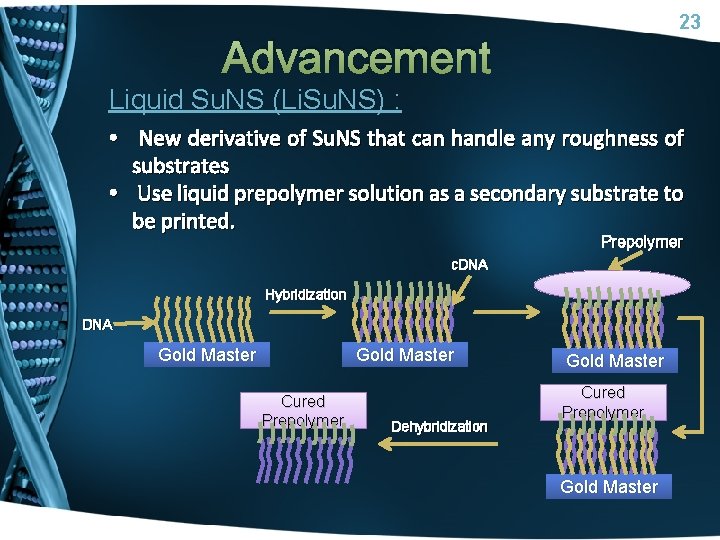 23 Advancement Liquid Su. NS (Li. Su. NS) : • New derivative of Su.