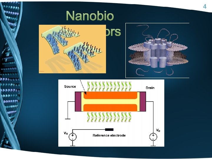 Nanobio Sensors 4 