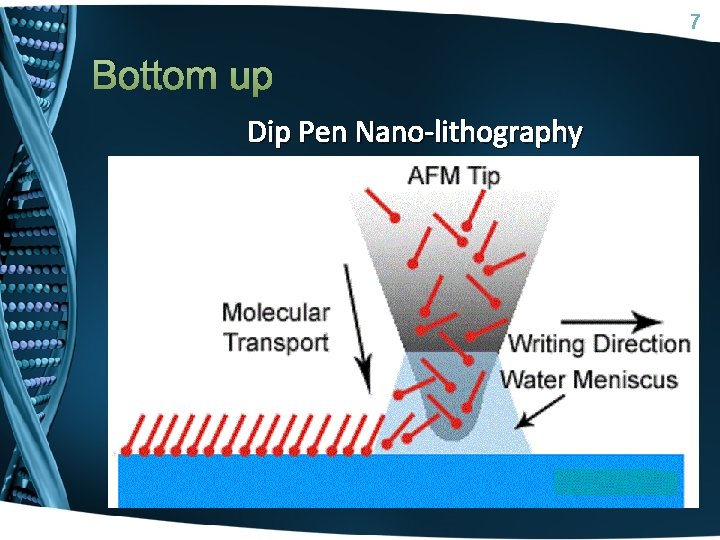 7 Bottom up Dip Pen Nano-lithography 