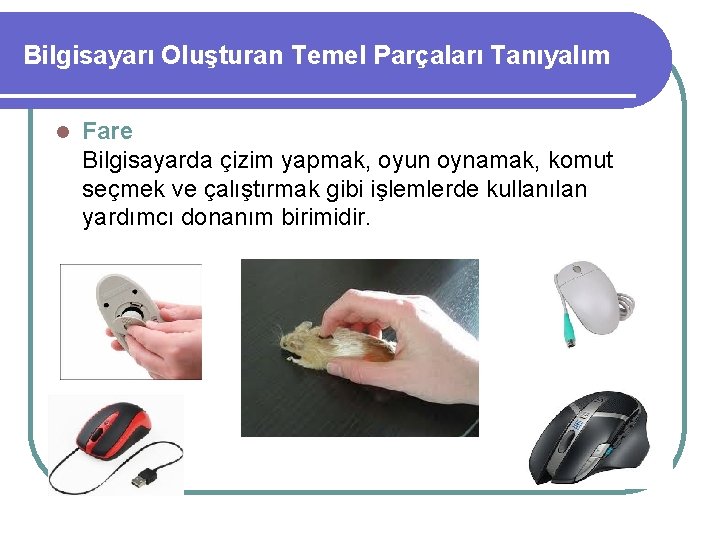 Bilgisayarı Oluşturan Temel Parçaları Tanıyalım l Fare Bilgisayarda çizim yapmak, oyun oynamak, komut seçmek