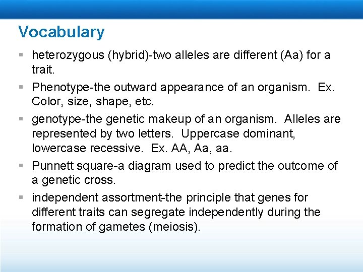 Vocabulary § heterozygous (hybrid)-two alleles are different (Aa) for a trait. § Phenotype-the outward