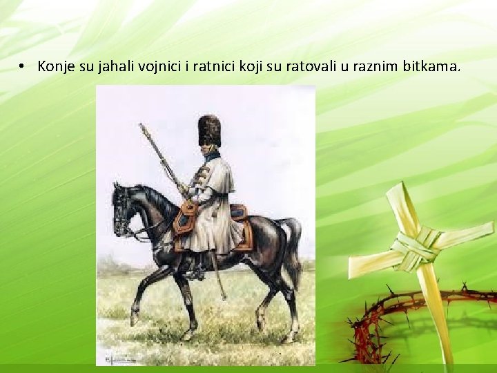  • Konje su jahali vojnici i ratnici koji su ratovali u raznim bitkama.