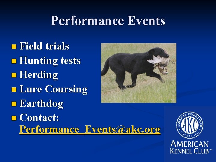 Performance Events n Field trials n Hunting tests n Herding n Lure Coursing n