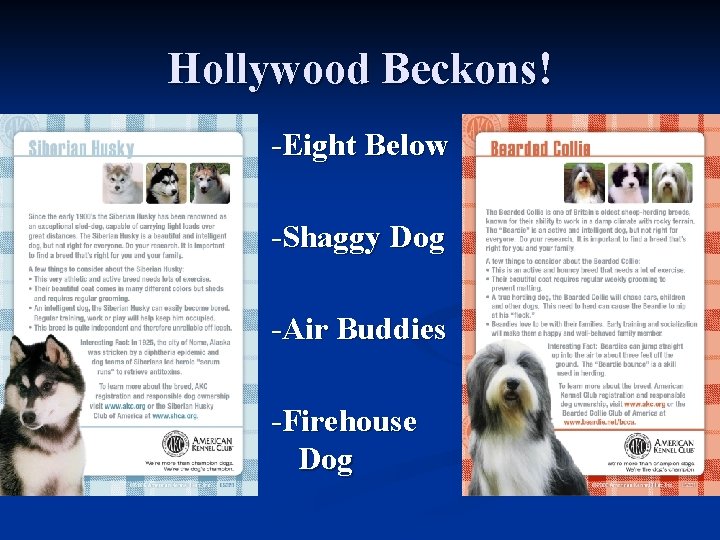 Hollywood Beckons! -Eight Below -Shaggy Dog -Air Buddies -Firehouse Dog 