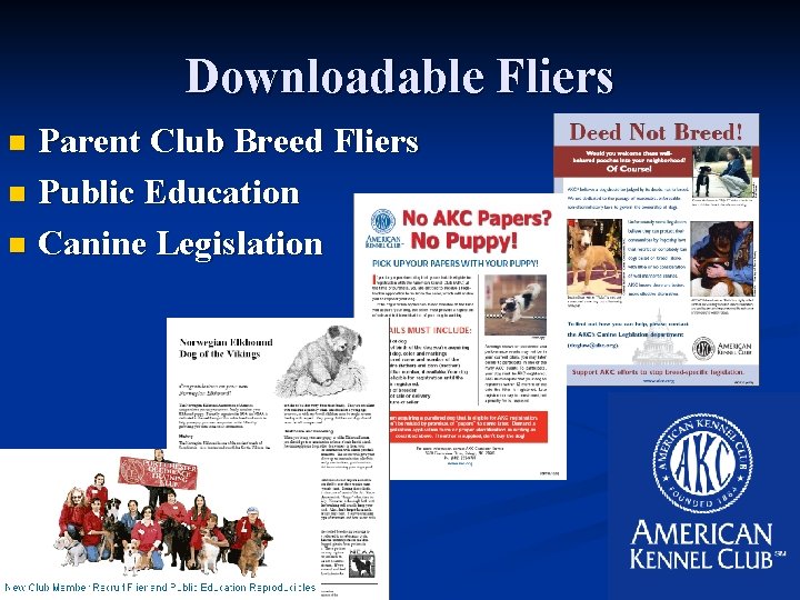 Downloadable Fliers Parent Club Breed Fliers n Public Education n Canine Legislation n 