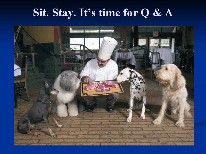 Sit. Stay. It’s time for Q & A 