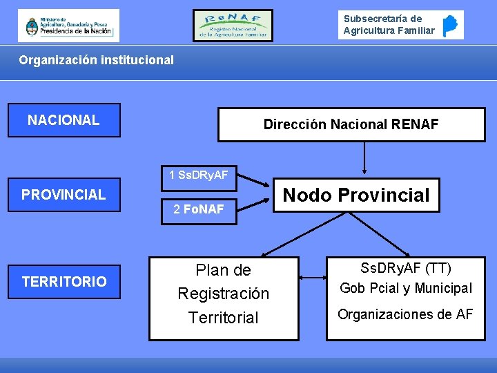 Subsecretaría de Agricultura Familiar Organización institucional NACIONAL Dirección Nacional RENAF 1 Ss. DRy. AF