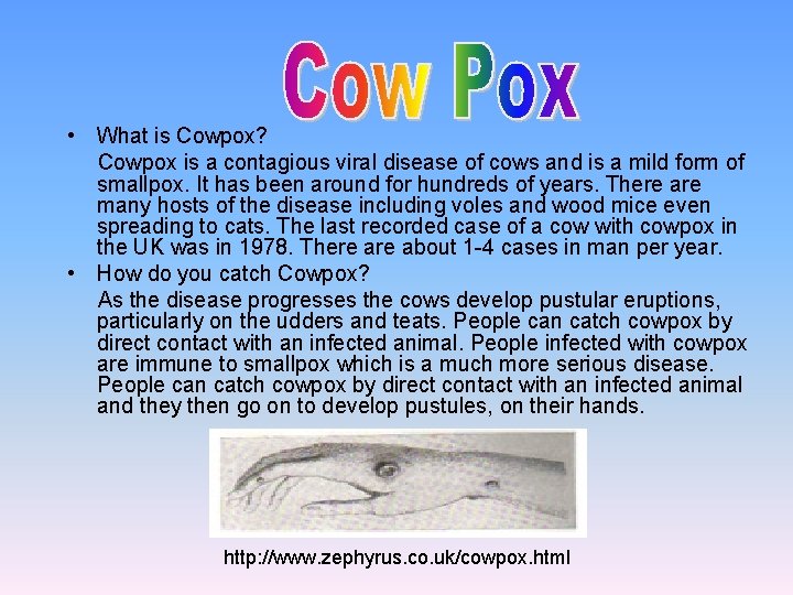  • What is Cowpox? Cowpox is a contagious viral disease of cows and