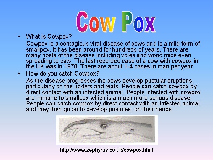  • What is Cowpox? Cowpox is a contagious viral disease of cows and