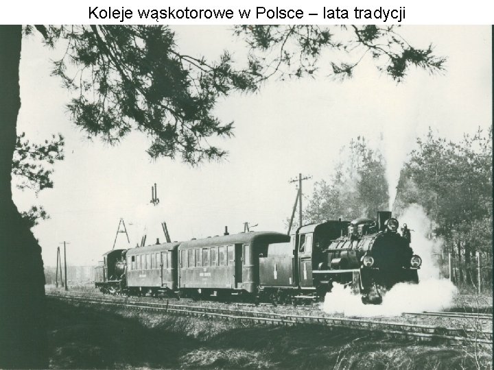 Koleje wąskotorowe w Polsce – lata tradycji 