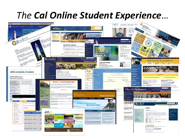 The Cal Online Student Experience… 