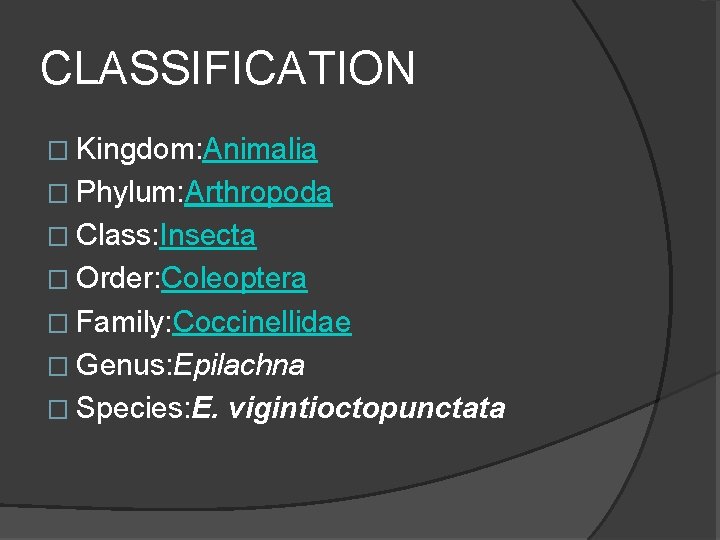 CLASSIFICATION � Kingdom: Animalia � Phylum: Arthropoda � Class: Insecta � Order: Coleoptera �