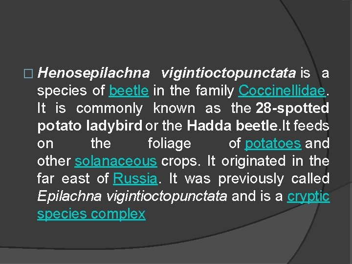 � Henosepilachna vigintioctopunctata is a species of beetle in the family Coccinellidae. It is