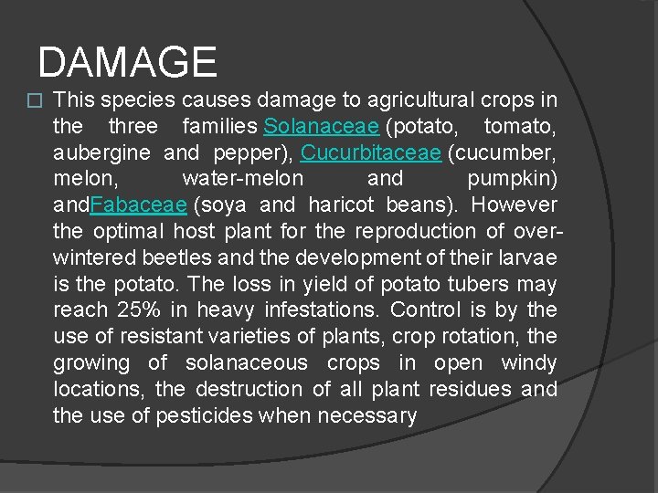 DAMAGE � This species causes damage to agricultural crops in the three families Solanaceae